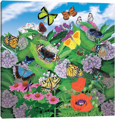 Butterflies Canvas Art Print - Ann Jasperson