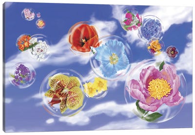 Flower Bubbles Canvas Art Print - Ann Jasperson