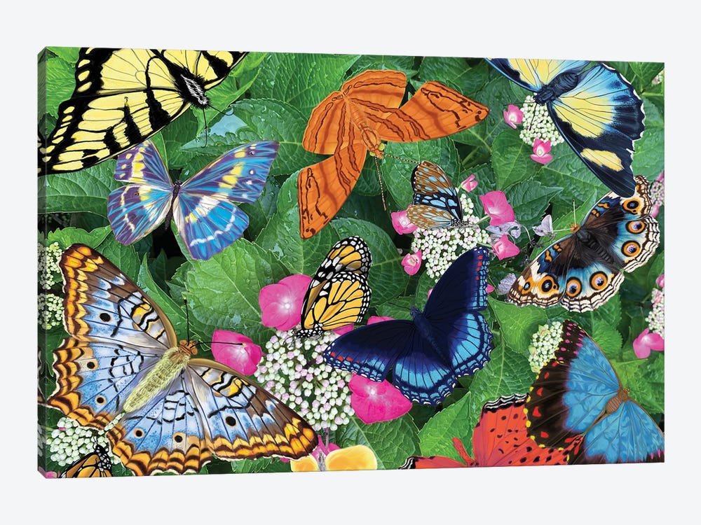 Bountiful Butterflies by Ann Jasperson 1-piece Canvas Art