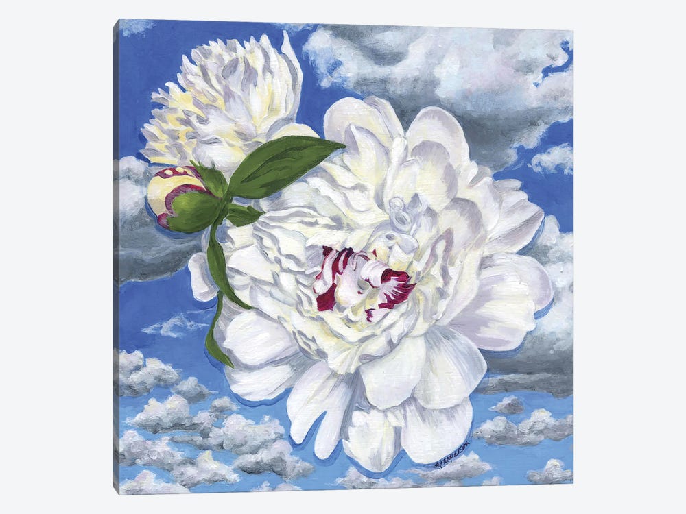 Homage To R.M. Peony by Ann Jasperson 1-piece Canvas Wall Art