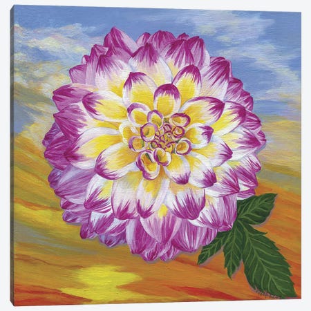 Homage To R.M. Pink Dahlia Canvas Print #AJP61} by Ann Jasperson Canvas Art Print