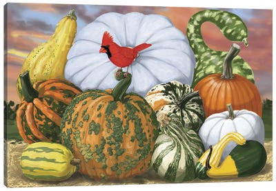 Pumpkins And The Cardinal Canvas Art Print - Ann Jasperson