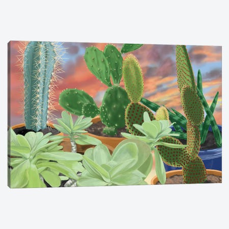 Cactus On The Sill Canvas Print #AJP8} by Ann Jasperson Art Print