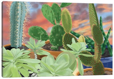 Cactus On The Sill Canvas Art Print - Ann Jasperson