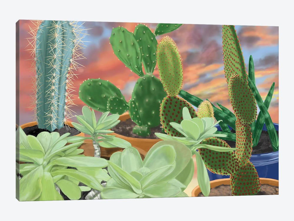 Cactus On The Sill by Ann Jasperson 1-piece Art Print