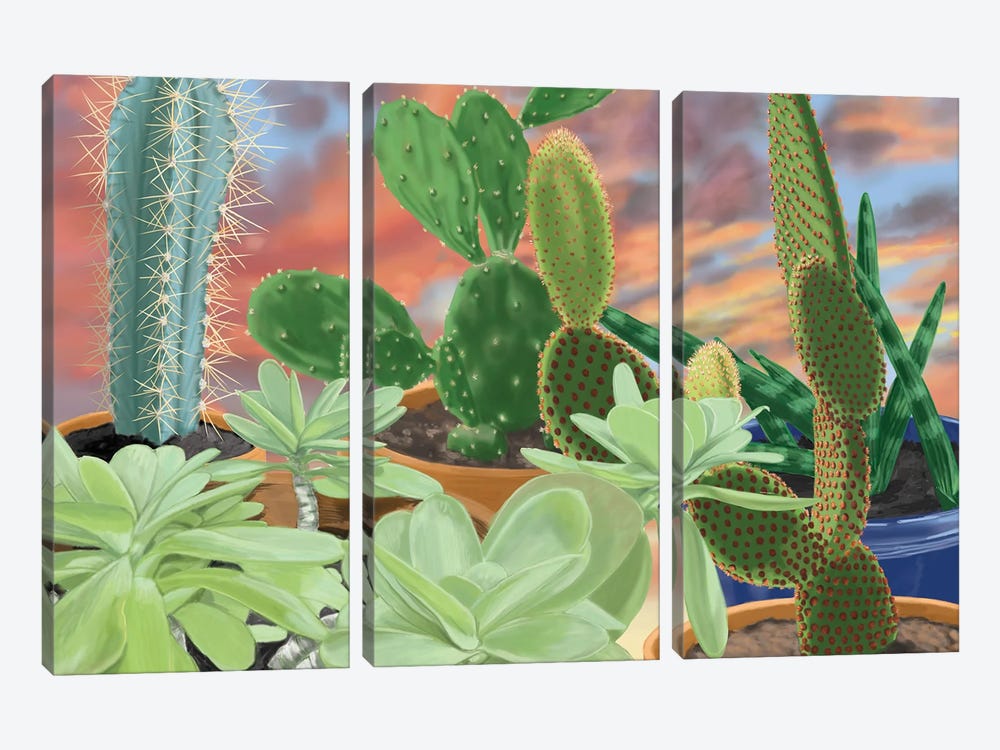 Cactus On The Sill by Ann Jasperson 3-piece Art Print