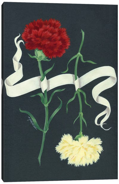 Carnations Canvas Art Print - Ann Jasperson