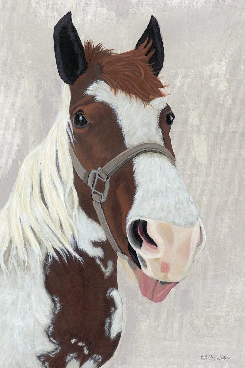 Henry by Ashley Justice wall art