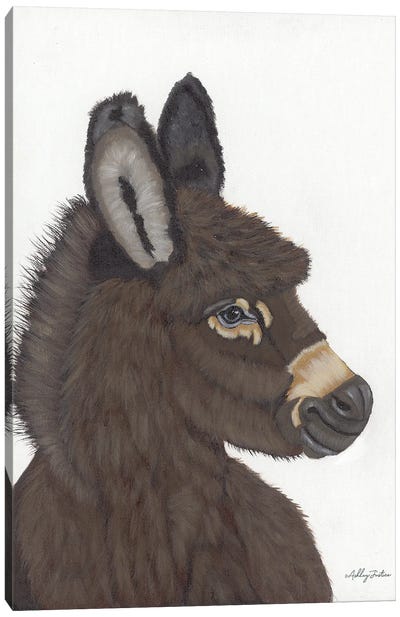 Archie Canvas Art Print - Donkey Art