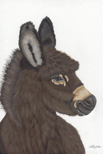 Donkeys: Archie by Ashley Justice