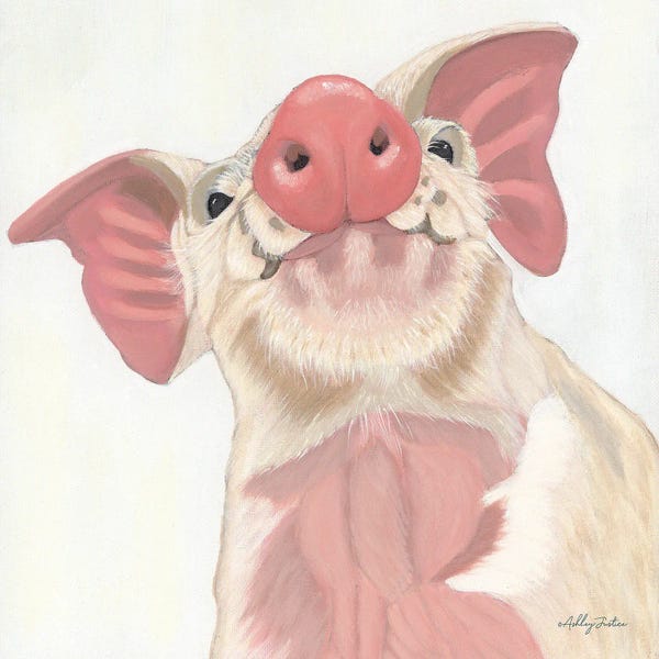 Pigs: Buster by Ashley Justice