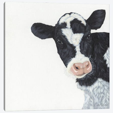 Cow Canvas Print #AJS4} by Ashley Justice Art Print