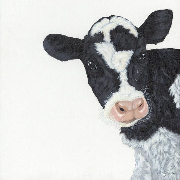 Ashley Justice: Cow by Ashley Justice