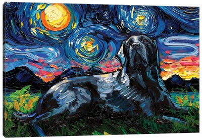 Black Labrador Night III Canvas Art Print - Labrador Retriever Art