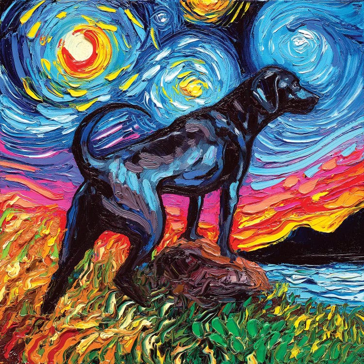 Black Labrador Night II