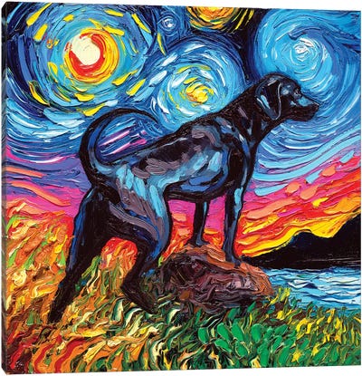 Black Labrador Night II Canvas Art Print - Labrador Retriever Art