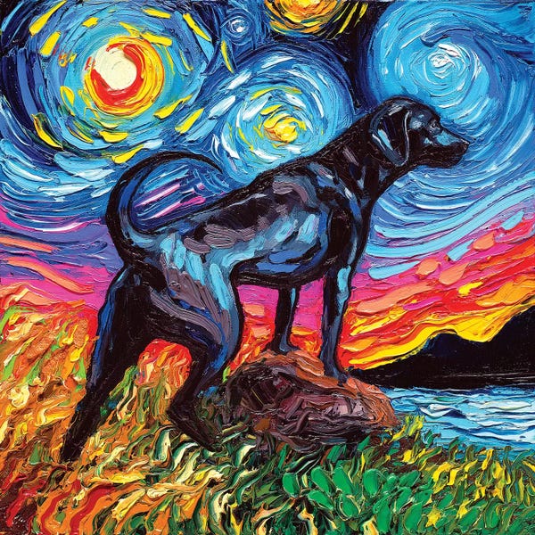 All Things Van Gogh: Black Labrador Night II by Aja Trier