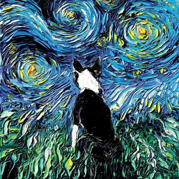 Terriers: Boston Terrier Night by Aja Trier