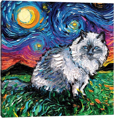 Ragdoll Cat Night Canvas Art Print - Starry Night Collection