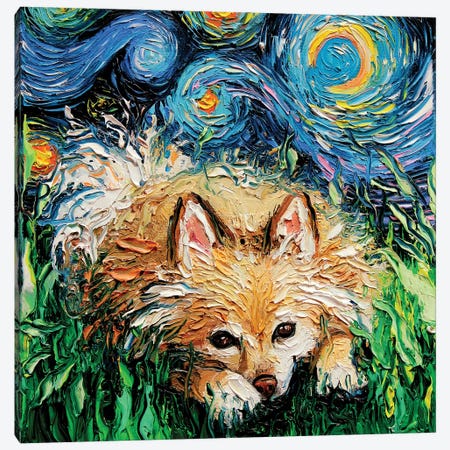 Pomeranian Night Canvas Print #AJT135} by Aja Trier Canvas Art