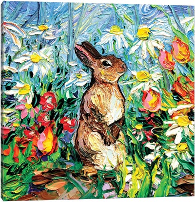 Cottontail Canvas Art Print - Rabbit Art