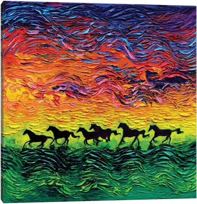 Wild Horses Canvas Art Print - Aja Trier