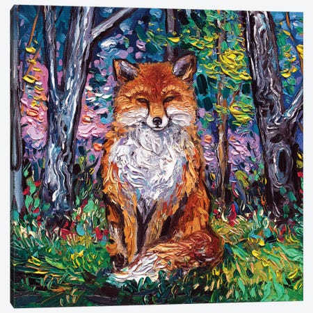 The Red Fox Canvas Print #AJT142} by Aja Trier Canvas Wall Art
