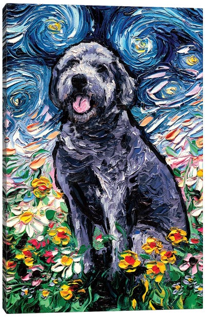 Gray Labradoodle Night Canvas Art Print - Starry Night Collection