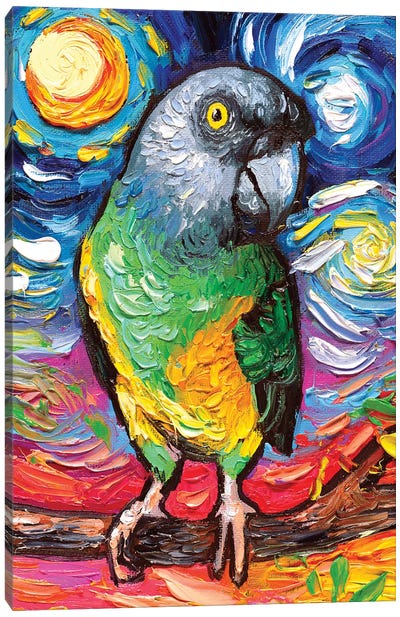 Senegal Night Canvas Art Print - Parrot Art
