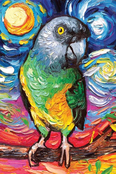 Parrots: Senegal Night by Aja Trier