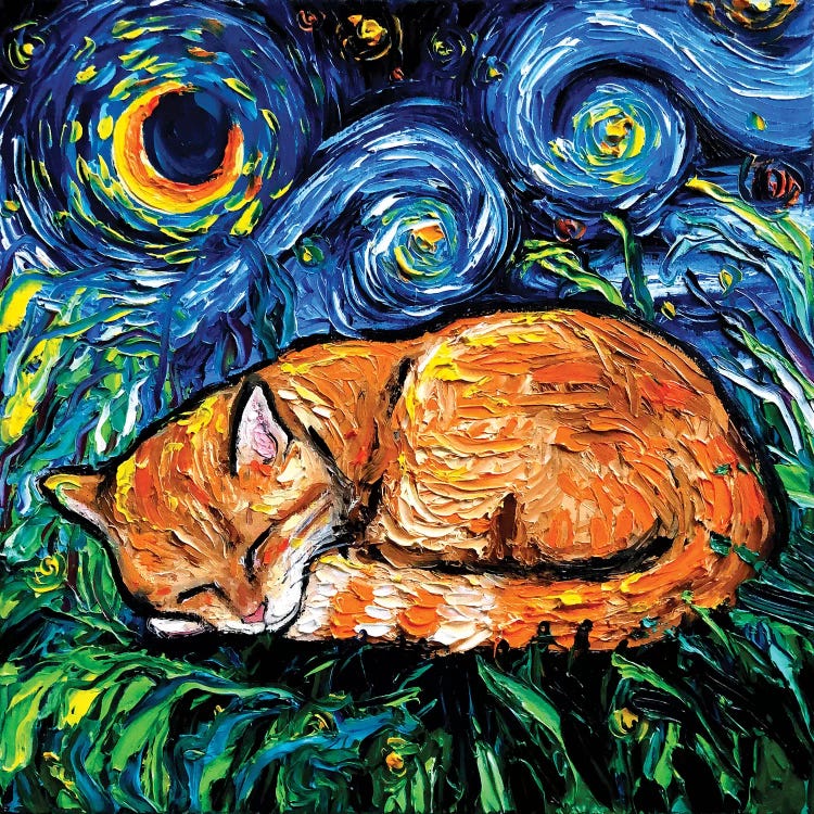 Orange Tabby Night