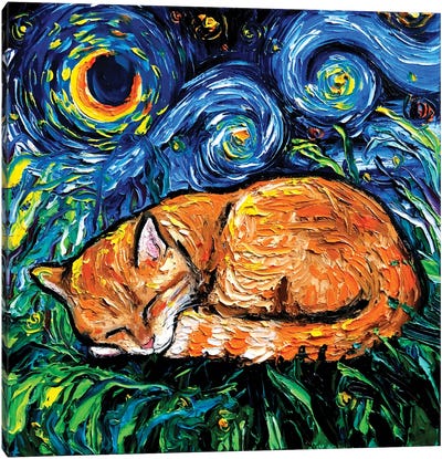 Orange Tabby Night Canvas Art Print - Kids Animal Art