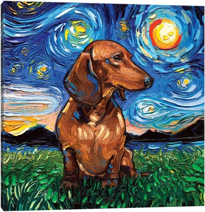 Brown Shorthair Dachshund Night Canvas Art Print - Dog Art