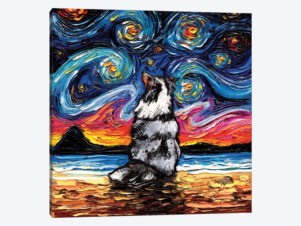 Merle Shetland Sheepdog Night by Aja Trier 1-piece Canvas Art