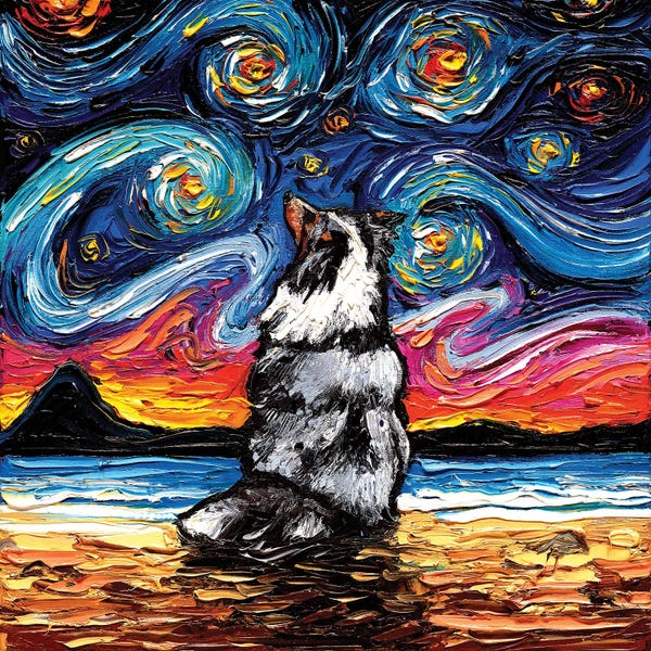 Merle Shetland Sheepdog Night
