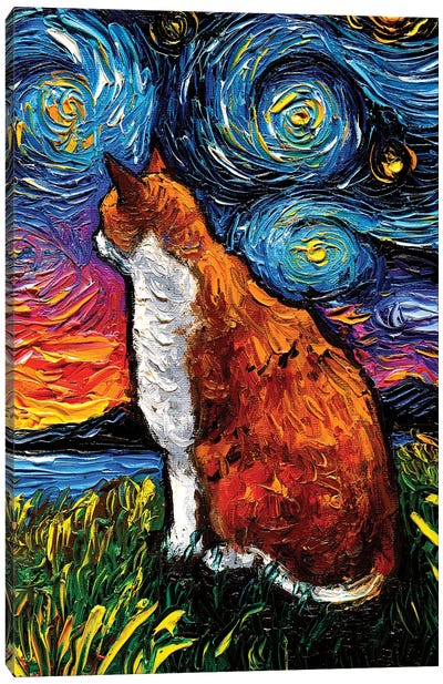 Orange And White Tabby Night Canvas Art Print - Tabby Cat Art