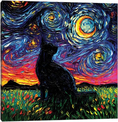 Black Cat Night Canvas Art Print - Cat Art