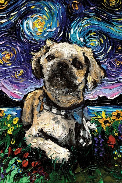 Shih Tzus: Shih Tzu Night III by Aja Trier