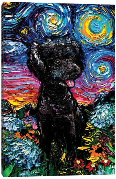 Black Poodle Night III Canvas Art Print - Poodle Art