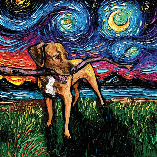 Vizslas: Vizsla Mix Night by Aja Trier