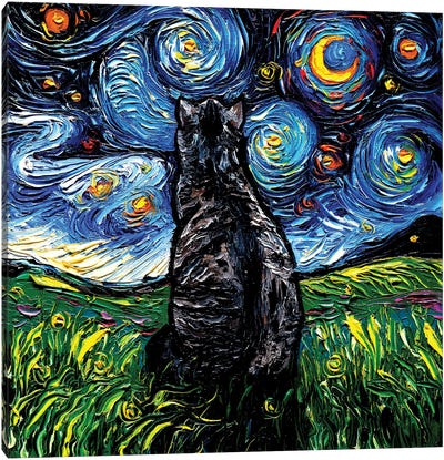 Gray Tabby Night Canvas Art Print - Starry Night Collection