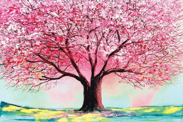 Cherry Trees: Story Of The Tree LXIV by Aja Trier