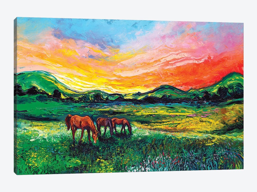 Meadow Sunset by Aja Trier 1-piece Canvas Artwork