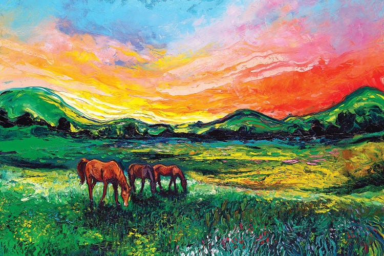 Meadow Sunset