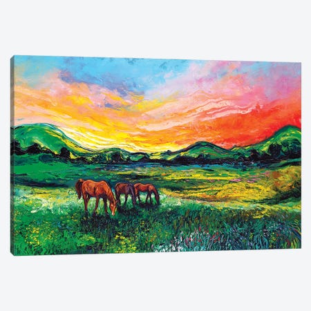 Meadow Sunset Canvas Print #AJT213} by Aja Trier Canvas Artwork