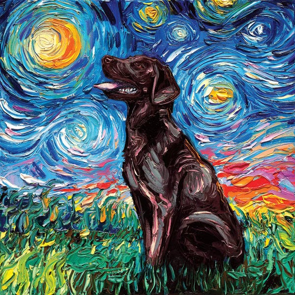 Starry Night Collection: Chocolate Labrador Night by Aja Trier
