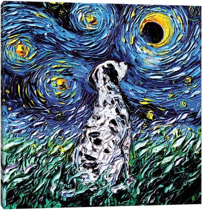 Dalmatian Night Canvas Art Print - Dog Art