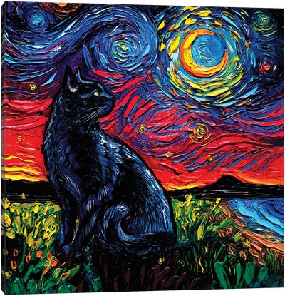 Black Cat Night II Canvas Art Print - Starry Night Collection