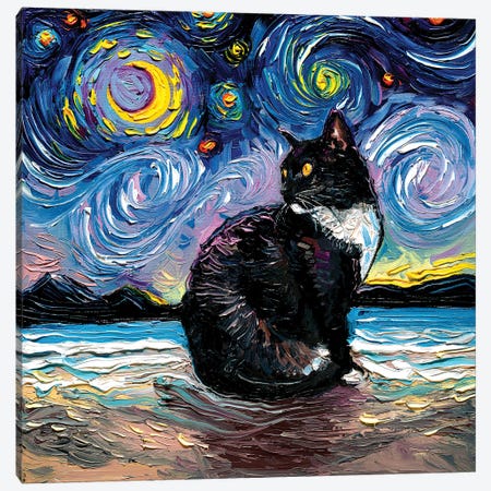 Tuxedo Cat Night II Canvas Print #AJT267} by Aja Trier Canvas Artwork