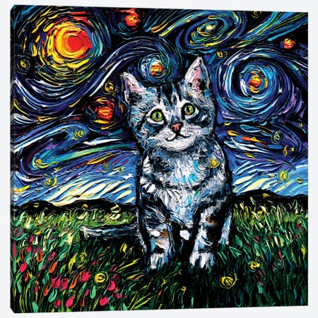 Gray Tabby Kitten Night Canvas Print #AJT270} by Aja Trier Canvas Artwork
